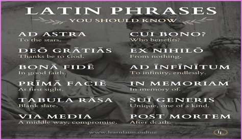 A Profile Of A Latin Beauty