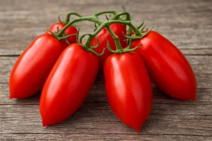 Are San Marzano tomatoes really better?