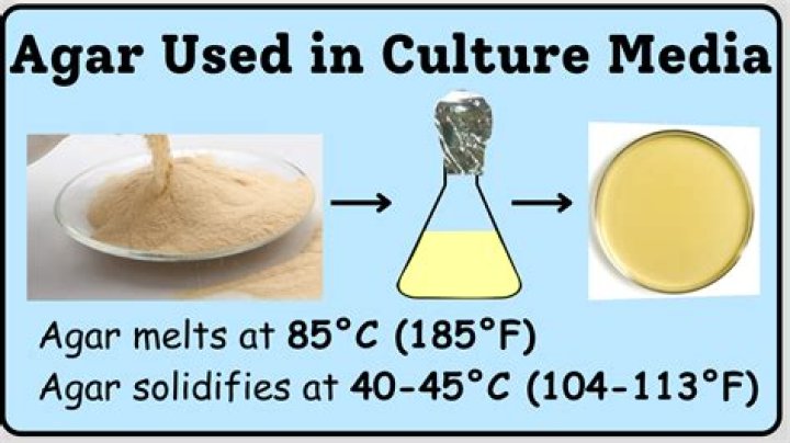 Can agar-agar be used as a salt bridge?
