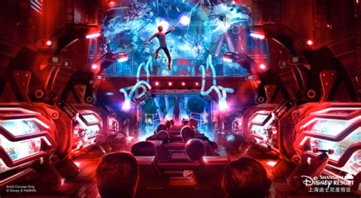 Can anyone ride the Disney buses?