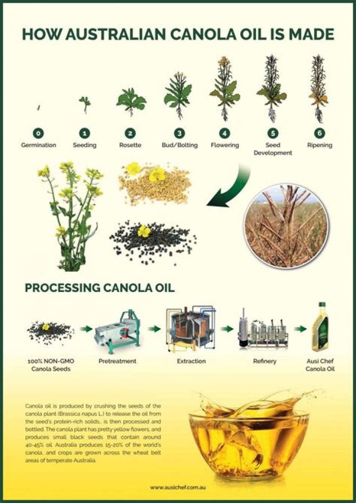 Can canola oil be used as hydraulic fluid?