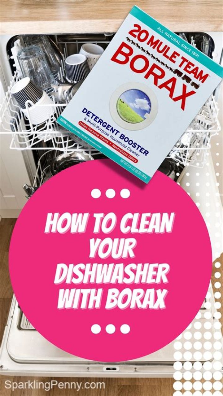 Can I use borax to clean my dishwasher?