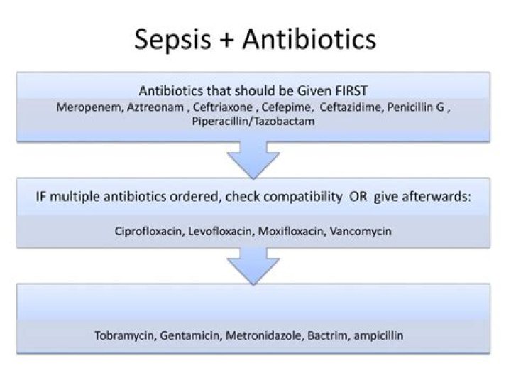 Can sepsis return after antibiotics?