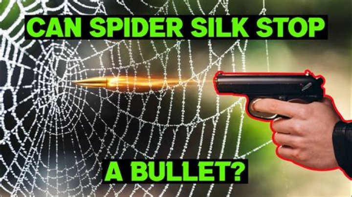 Can Spider Silk stop bullets?