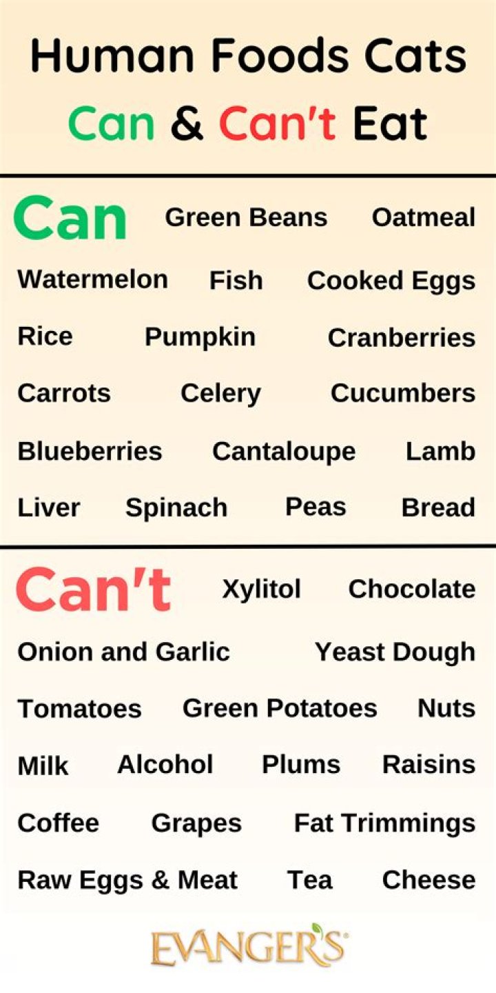 Can you eat in GTA V?