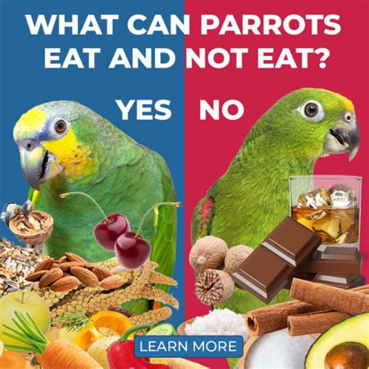 Can you eat zebra UK?