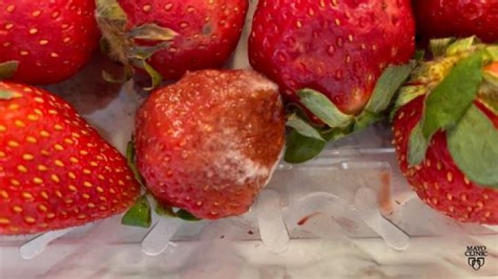 Can you get sick from eating moldy raspberries?