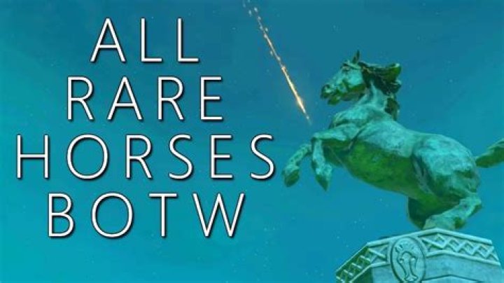 Can you rename horses BotW?