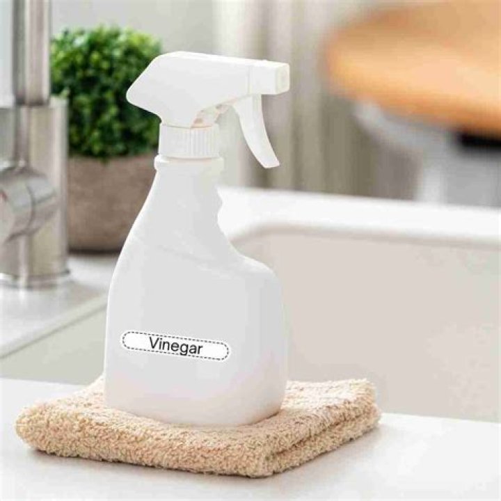Can you spray vinegar on fabric?
