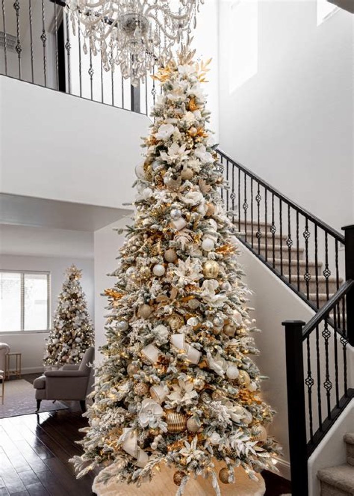 Do cats pee on Christmas trees?