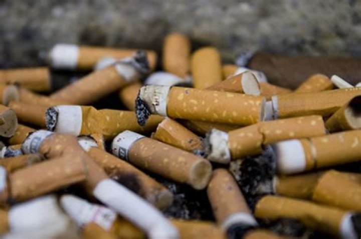 Do cigarette butts decompose?