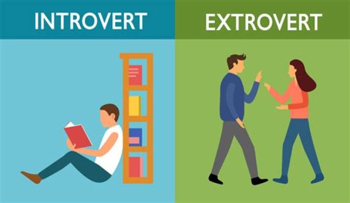 Do companies hire introverts?