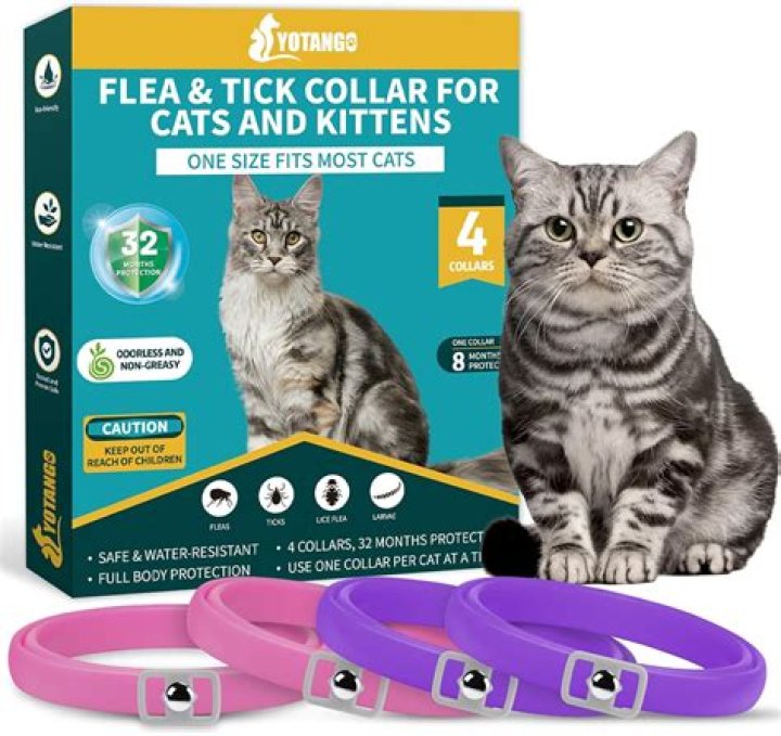 Do flea and tick tags work?