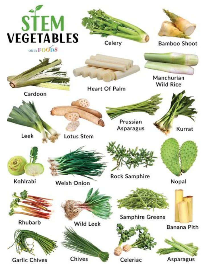 Do we eat sun?