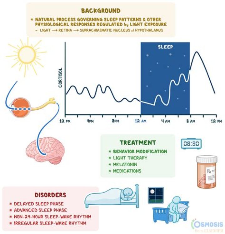 Does serotonin affect sleep?