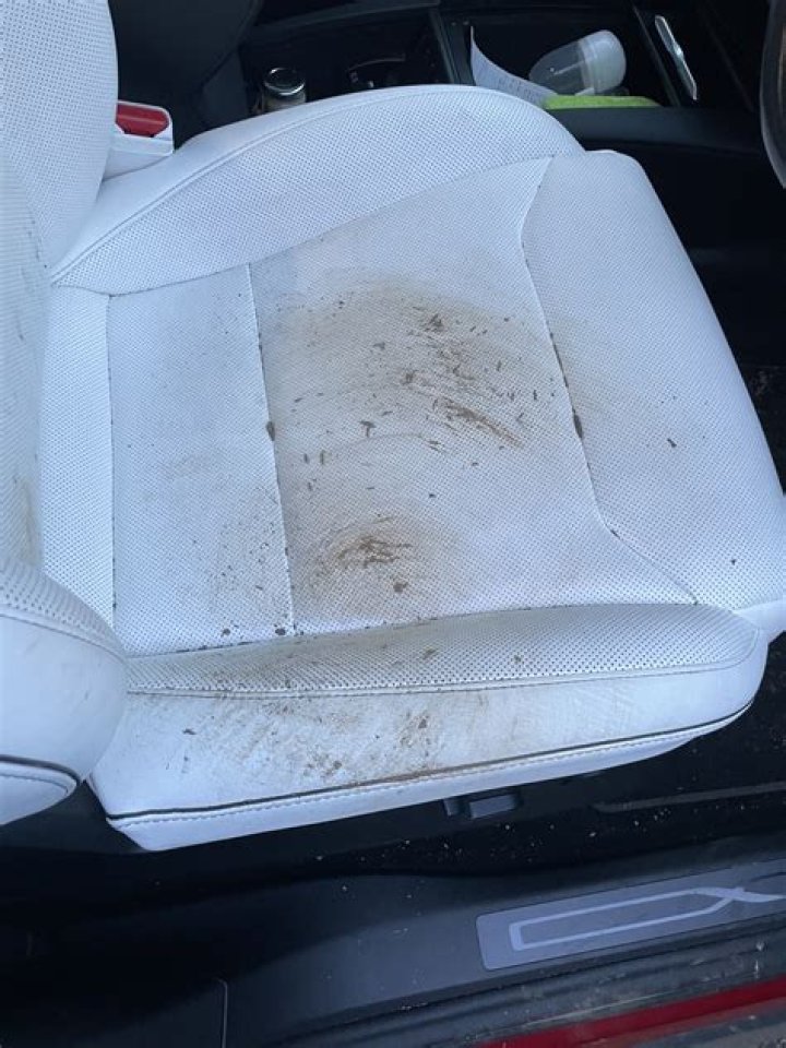 Does Tesla white interior get dirty?