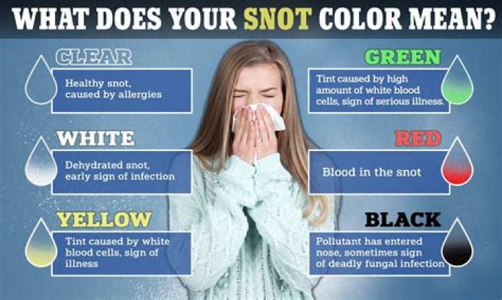 How are boogers made?