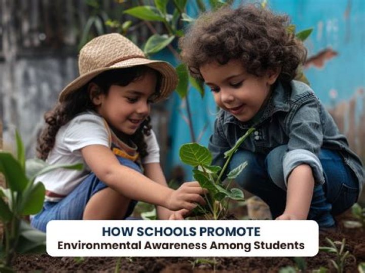 How can a teacher promote transfer of learning among his learners?