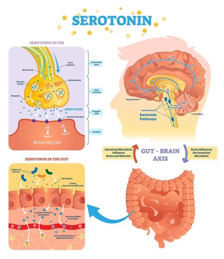 How can I get serotonin instantly?