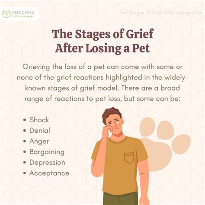 How do I get over the grief of losing a pet?
