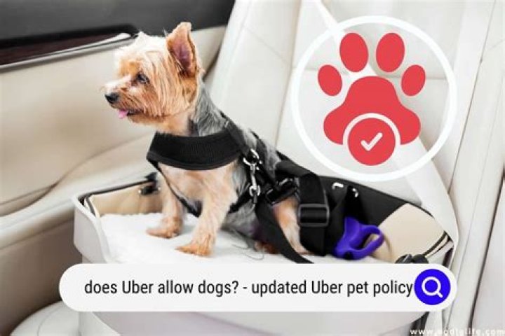 How do I request an Uber pet friendly?