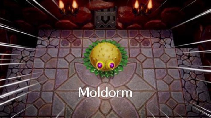 How do you beat Moldorm?