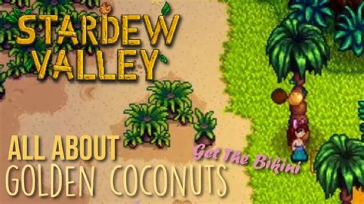 How do you get the golden coconut Stardew?