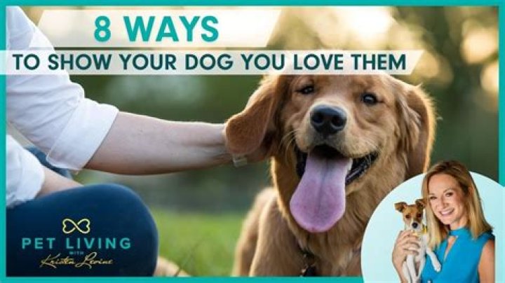 How do you show your dog you are the boss?