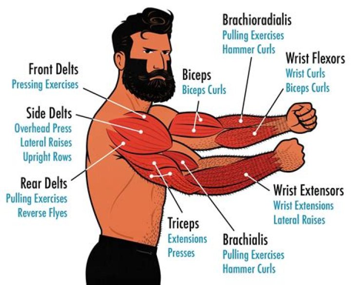 How many arm circles should I do a day?