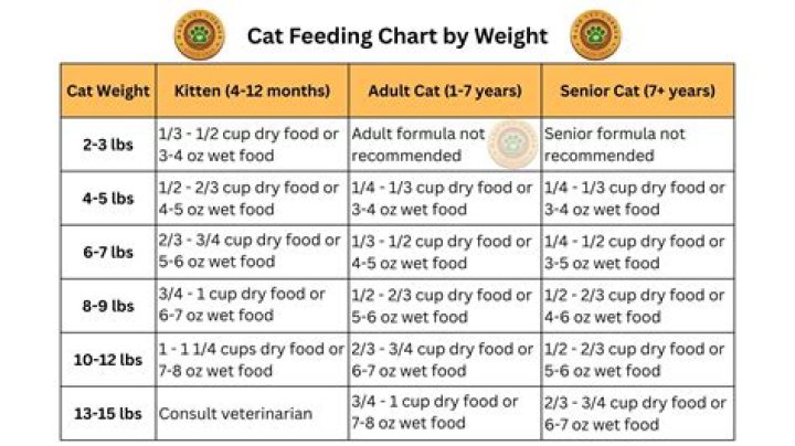 How many times should a cat be fed?