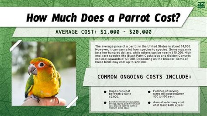 How much does math cost in Russia?