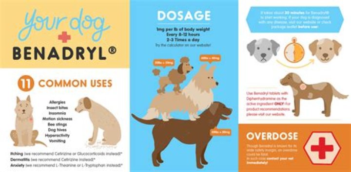 How often can I give my dog Benadryl for itching?
