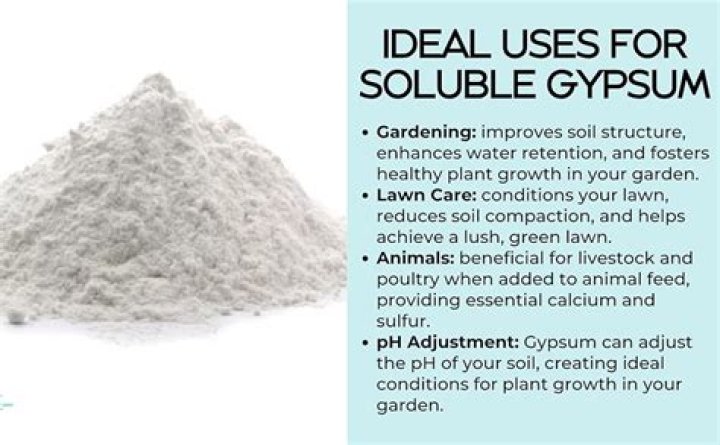 Is gypsum soluble in water?