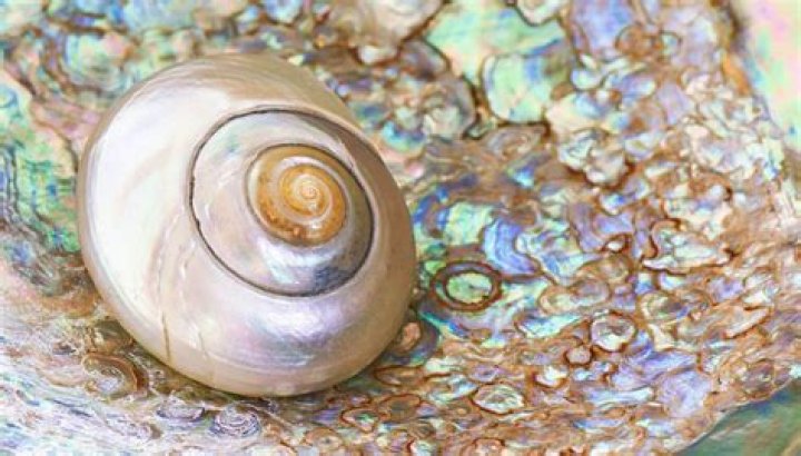 Is Mother of pearl unlucky?