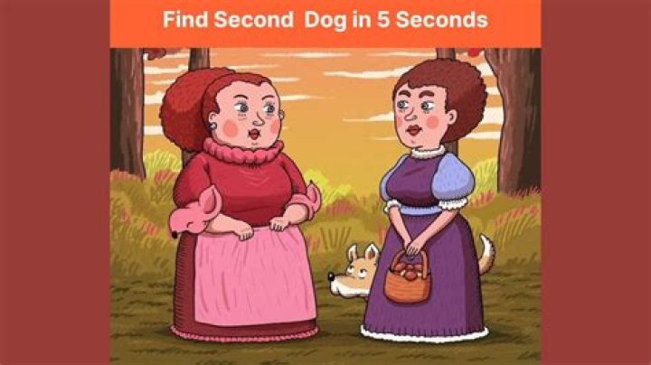 Should a second dog be the same gender?