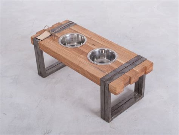 Should big dogs have raised bowls?