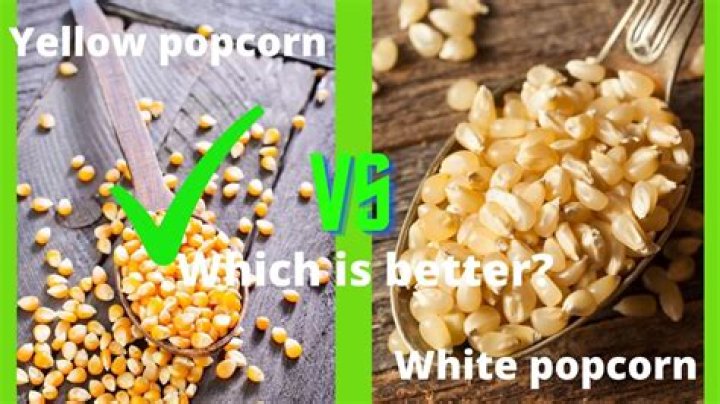 What's better white or yellow popcorn?