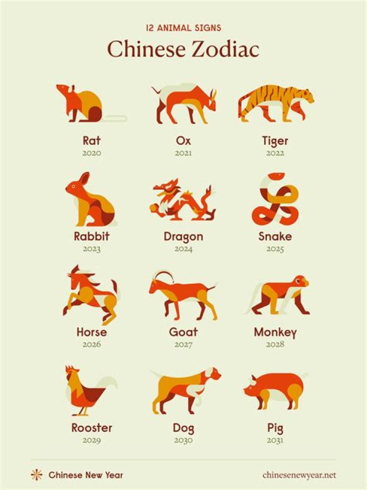 What animal do you punch in the nose?