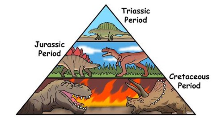 What are the three periods called?