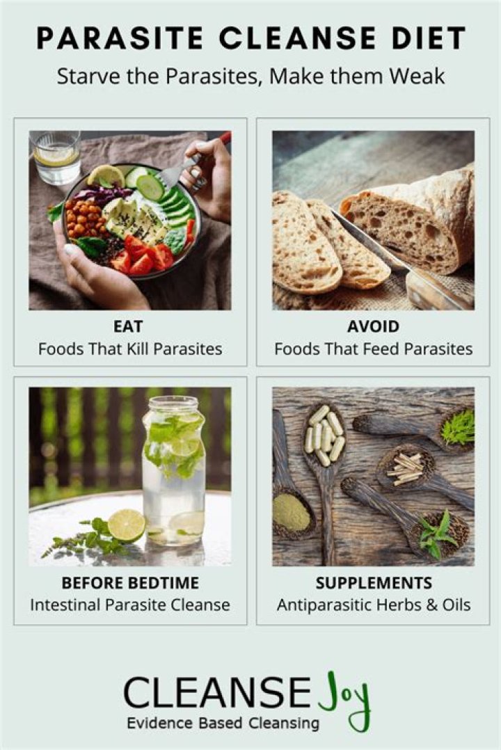 What can I eat on a parasite cleanse?