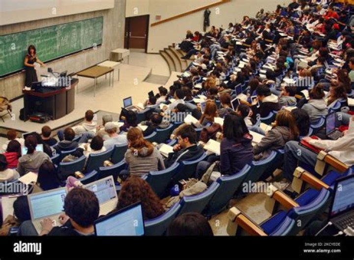What can professors see about their students?