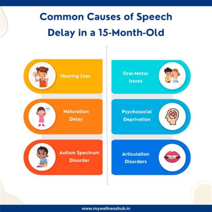 What causes speech delay in 18 month old?