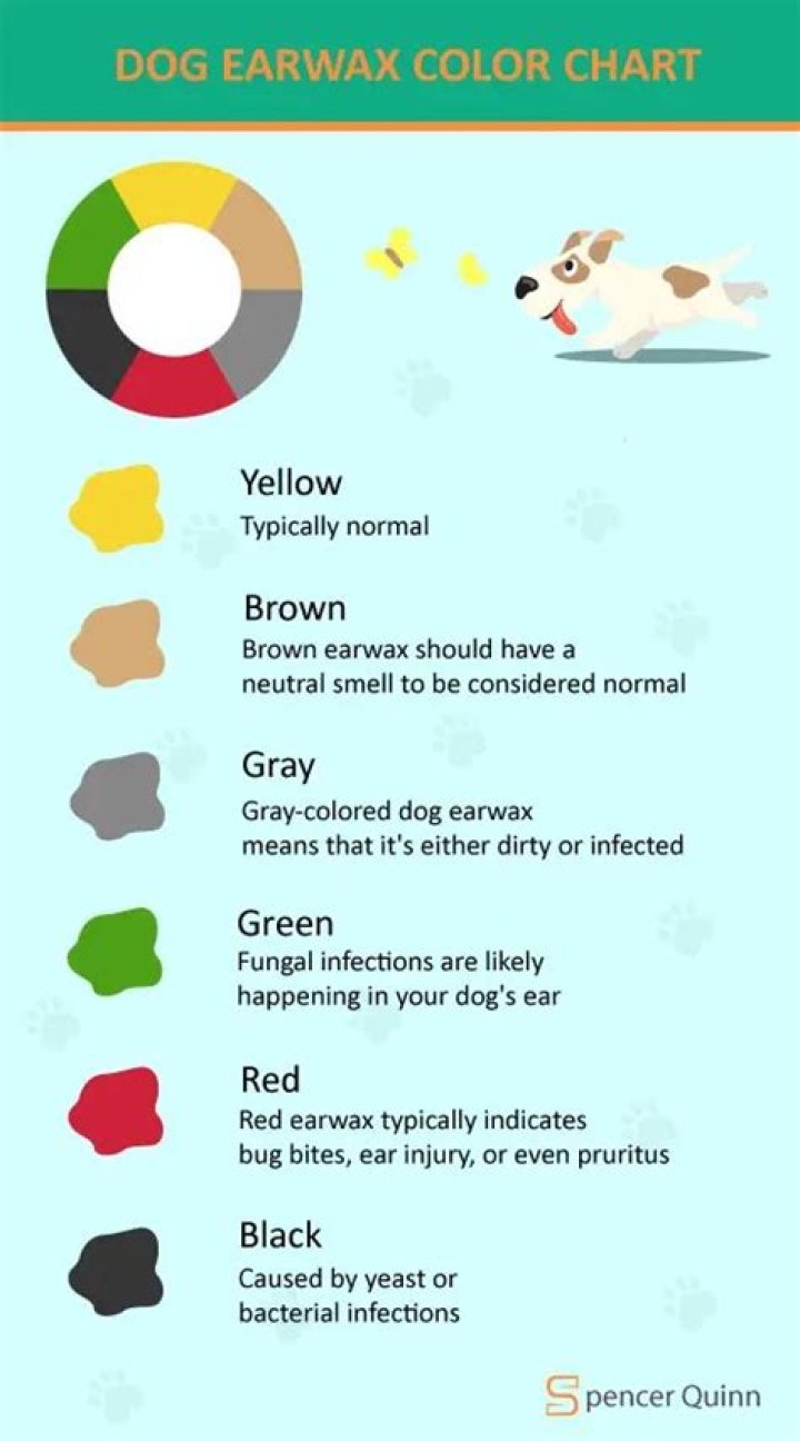 What color is cat ear wax?