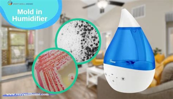 What color is mold in a humidifier?