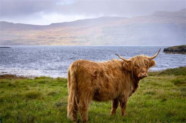 What country owns Scotland?