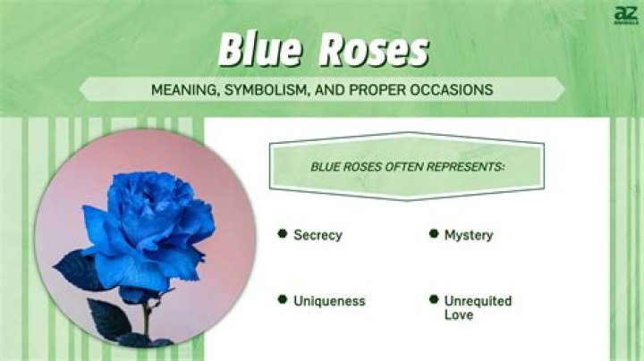 What does a blue lily mean?