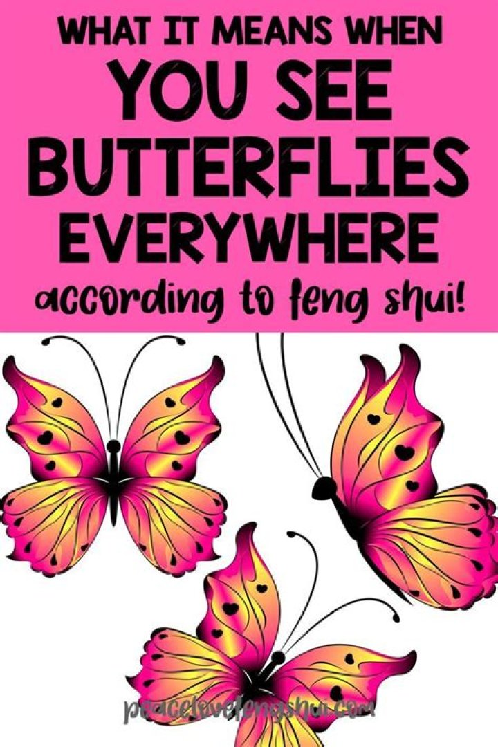 What does it mean when you see butterflies after someone dies?