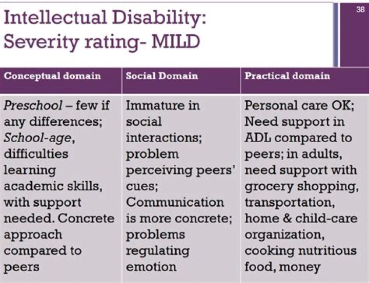 What does mild intellectual disability look like?