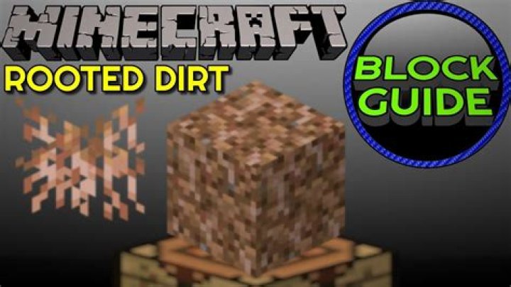 What does rooted dirt do in Minecraft?