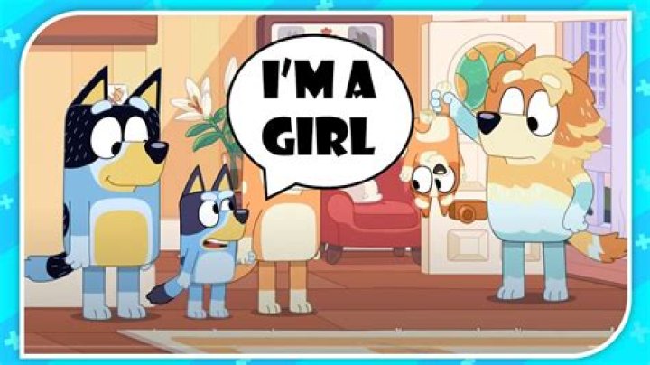 What gender is Bluey and Bingo?
